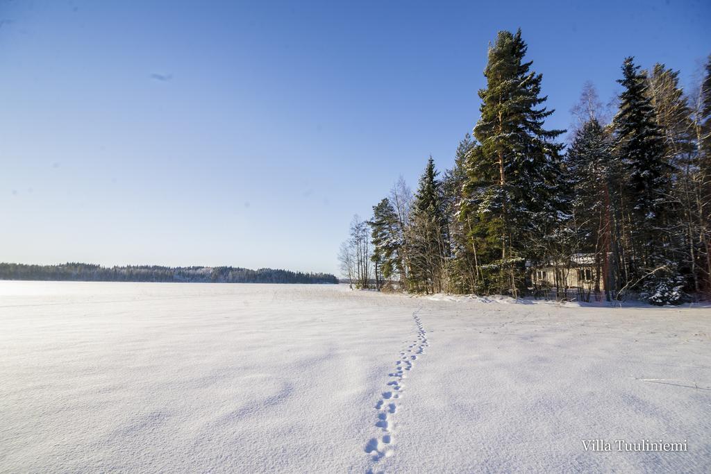 Villa Tuuliniemi Muurame Rom bilde